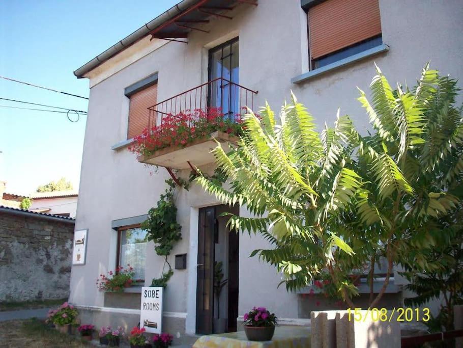 Cozy Rooms In Nature, Perfect For Relax Ilirska Bistrica Ngoại thất bức ảnh
