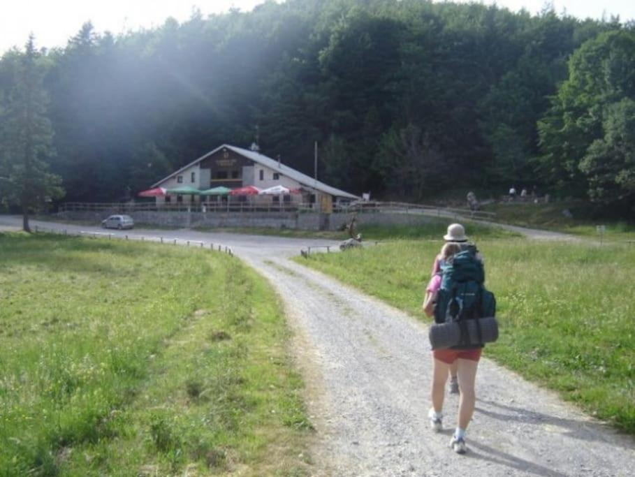 Cozy Rooms In Nature, Perfect For Relax Ilirska Bistrica Ngoại thất bức ảnh