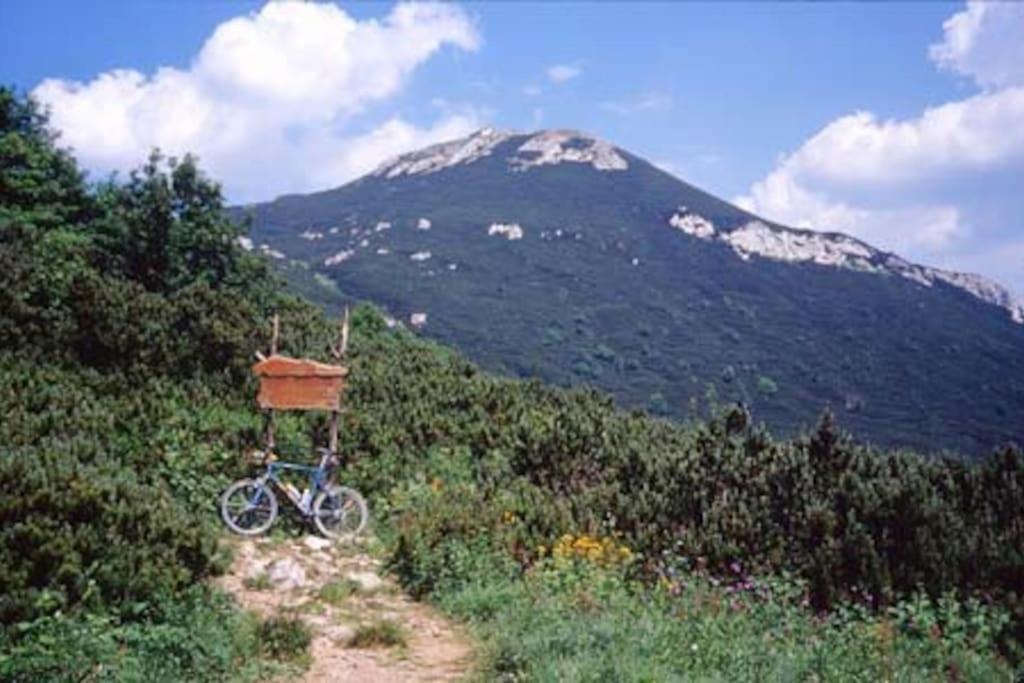 Cozy Rooms In Nature, Perfect For Relax Ilirska Bistrica Ngoại thất bức ảnh
